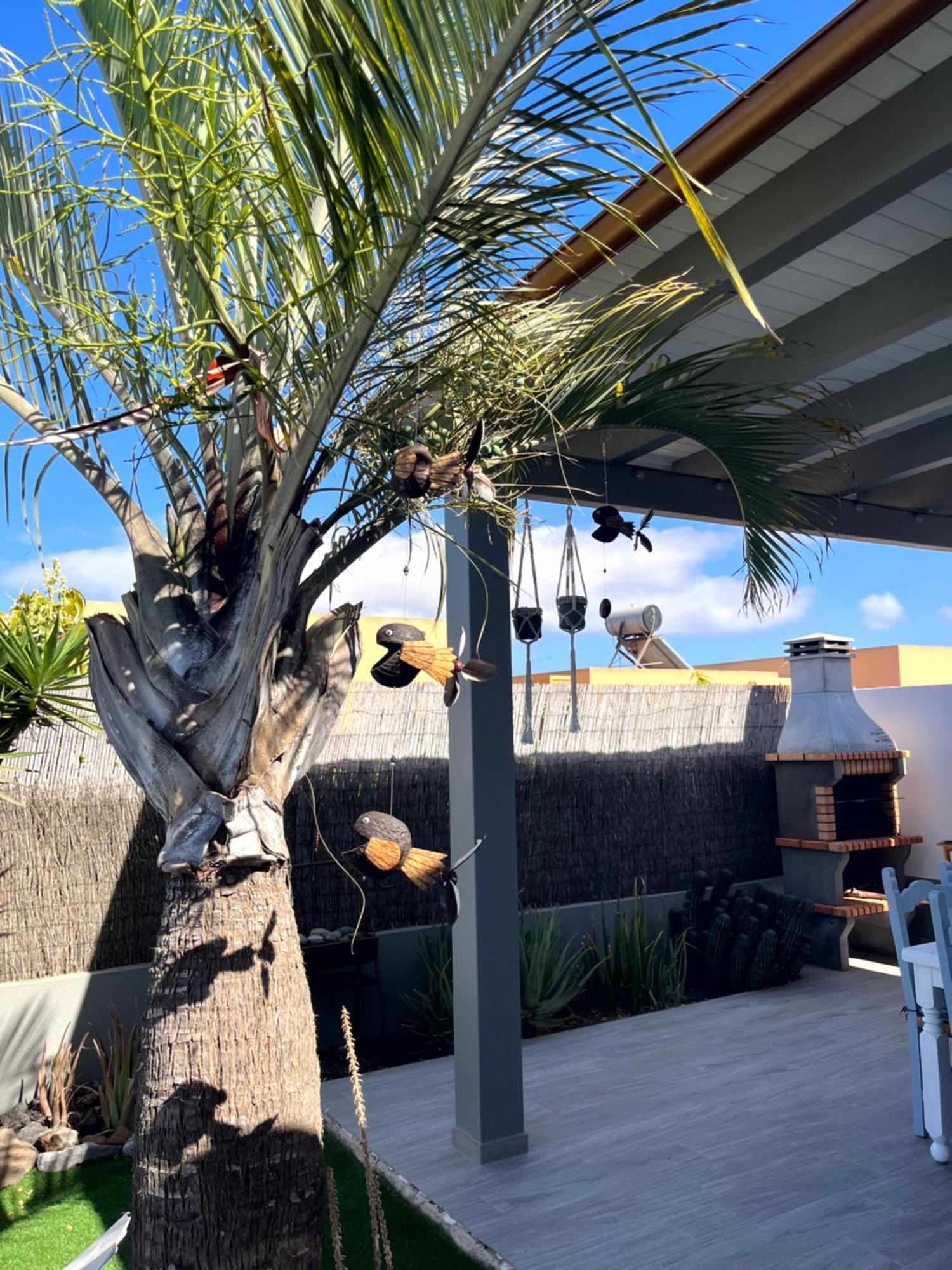 Villa Papi La Oliva Ngoại thất bức ảnh